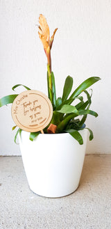 teachers gift, thank you for helping me grow, planter stick, engrave plantar stick, plants, teacher's gift idea, thank you teacher gift, personalised planter stick