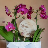 Planter stick - Craft Me Pretty (CMP Lasercraft - Perth Laser cutting)